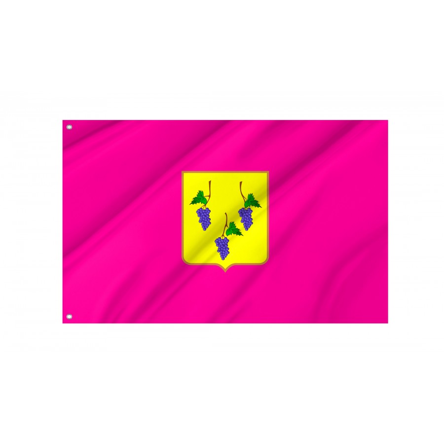 Flag of Izium and Izium Region, Kharkiv District, Patriotic Flags, Unique Design Print, Flags for Indoor & Outdoor Use