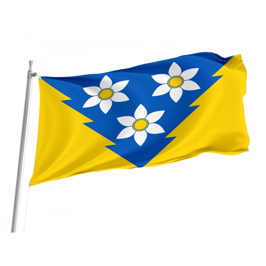 Flag of Khust Region, Zakarpattia District, Patriotic Flags, Unique Design Print, Flags for Indoor & Outdoor Use