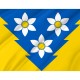 Flag of Khust Region, Zakarpattia District, Patriotic Flags, Unique Design Print, Flags for Indoor & Outdoor Use - Imagine 2
