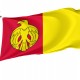 Flag of Kirovohrad District, Patriotic Flags, Unique Design Print, Flags for Indoor & Outdoor Use - Imagine 1