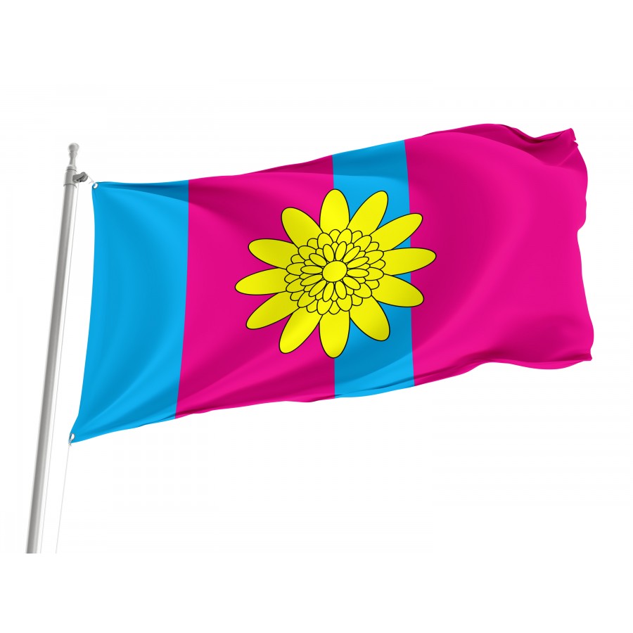 Flag of Kozelets Region, Chernihiv District, Patriotic Flags, Unique Design Print, Flags for Indoor & Outdoor Use