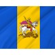 Flag of Kyiv District, Patriotic Flags, Unique Design Print, Flags for Indoor & Outdoor Use - Imagine 2