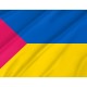Flag of Lokhvytsia Region, Poltava District, Patriotic Flags, Unique Design Print, Flags for Indoor & Outdoor Use - Imagine 2