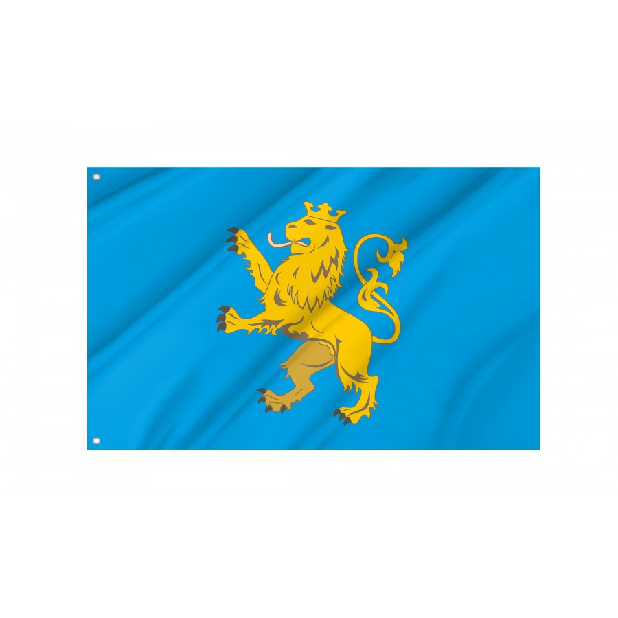 Flag of Lviv District, Patriotic Flags, Unique Design Print, Flags for Indoor & Outdoor Use