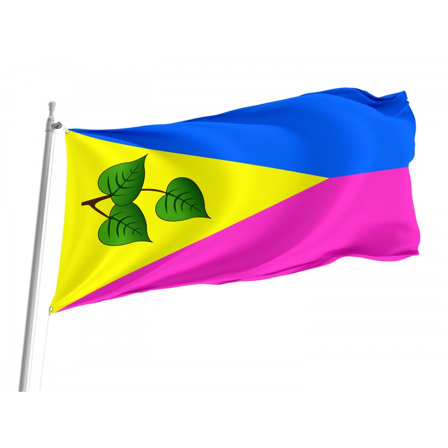 Flag of Lypovets Region, Vinnytsia District, Patriotic Flags, Unique Design Print, Flags for Indoor & Outdoor Use