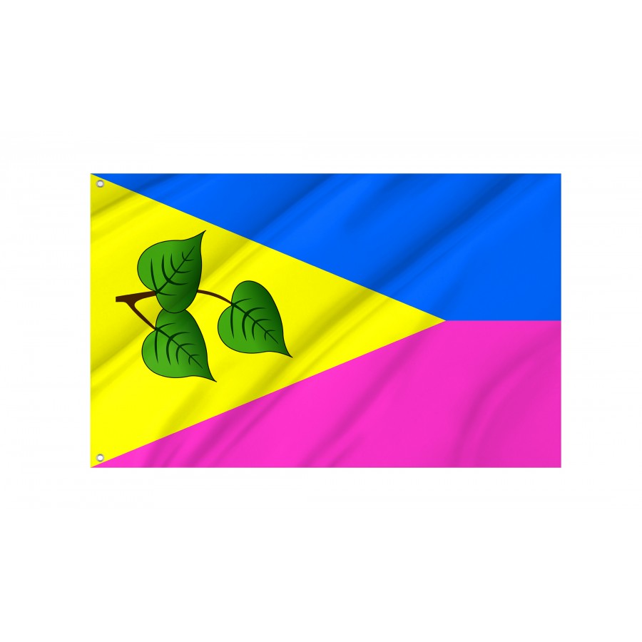 Flag of Lypovets Region, Vinnytsia District, Patriotic Flags, Unique Design Print, Flags for Indoor & Outdoor Use