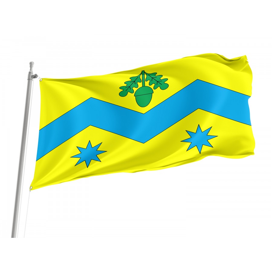 Flag of Mykolaiv Region, Lviv District, Patriotic Flags, Unique Design Print, Flags for Indoor & Outdoor Use