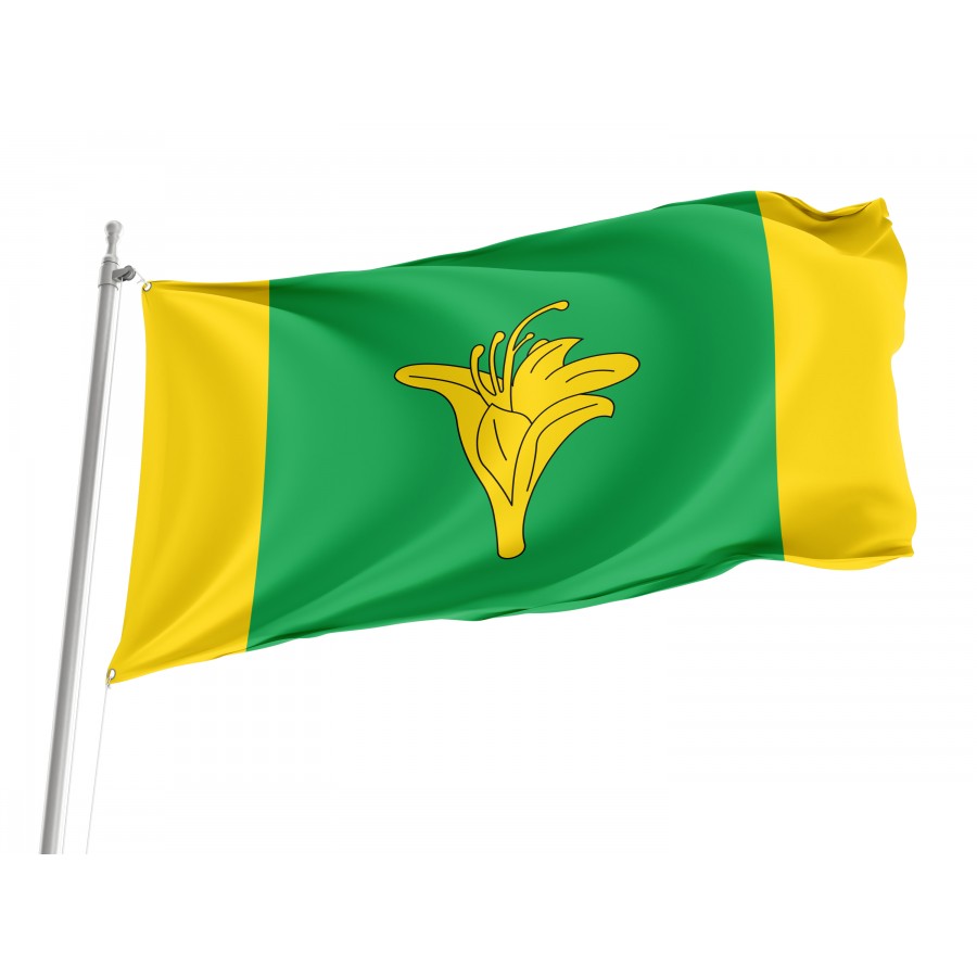 Flag of Novohrad-Volynskyi Region, Zhytomyr District, Patriotic Flags, Unique Design Print, Flags for Indoor & Outdoor Use