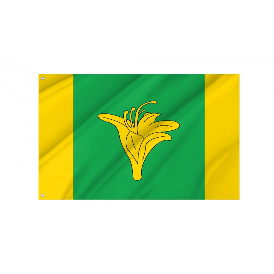 Flag of Novohrad-Volynskyi Region, Zhytomyr District, Patriotic Flags, Unique Design Print, Flags for Indoor & Outdoor Use