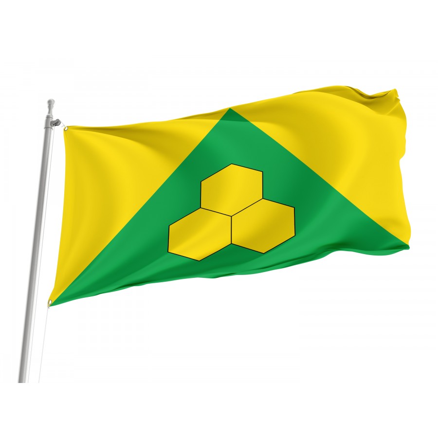 Flag of Peremyshliany Region, Lviv District, Patriotic Flags, Unique Design Print, Flags for Indoor & Outdoor Use