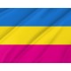 Proposal Flag of Ukraine 91-92, Patriotic Flags, Unique Design Print, Flags for Indoor & Outdoor Use - Imagine 2