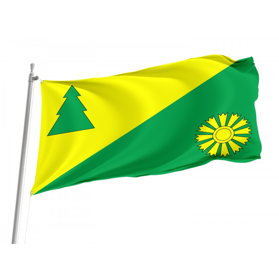 Flag of Putyla Region, Chernivtsi District, Patriotic Flags, Unique Design Print, Flags for Indoor & Outdoor Use