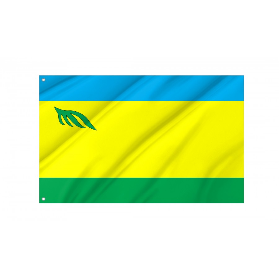 Flag of Rokytne Region, Rivne District, Patriotic Flags, Unique Design Print, Flags for Indoor & Outdoor Use