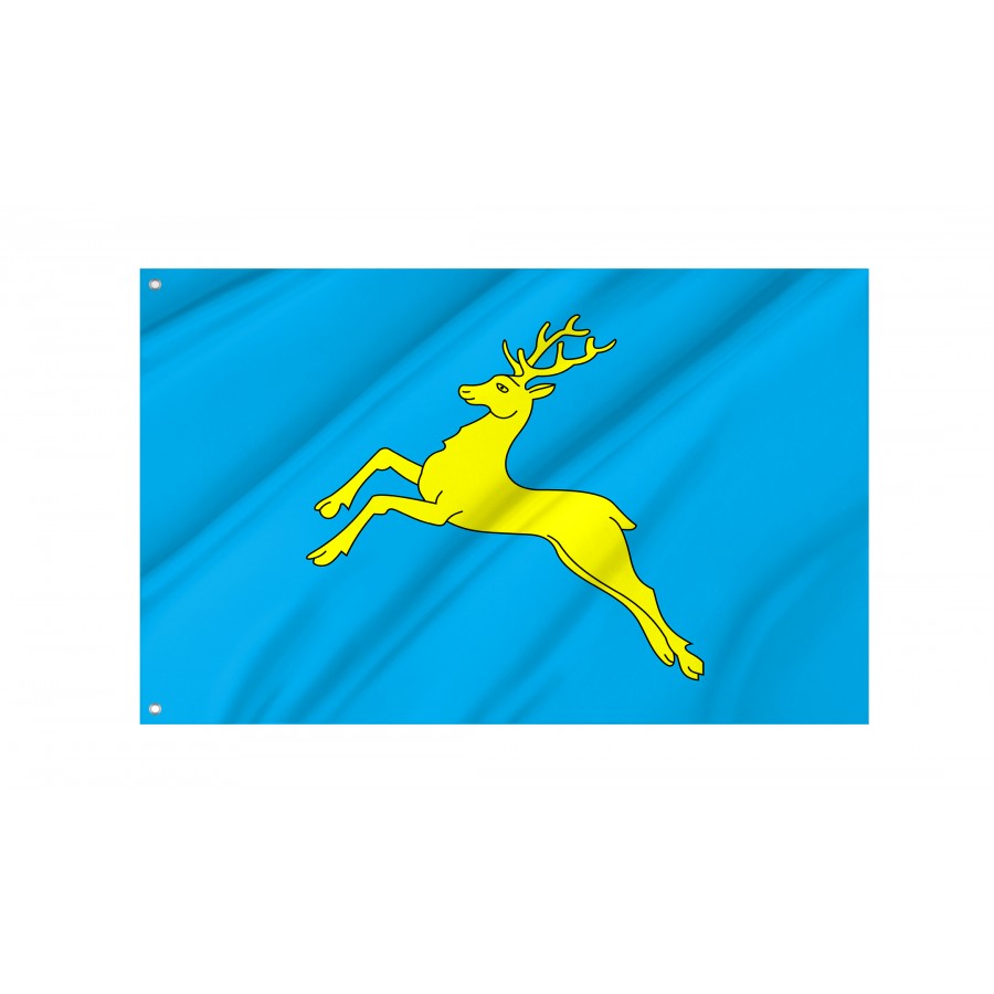 Flag of Sambir, Lviv District, Patriotic Flags, Unique Design Print, Flags for Indoor & Outdoor Use