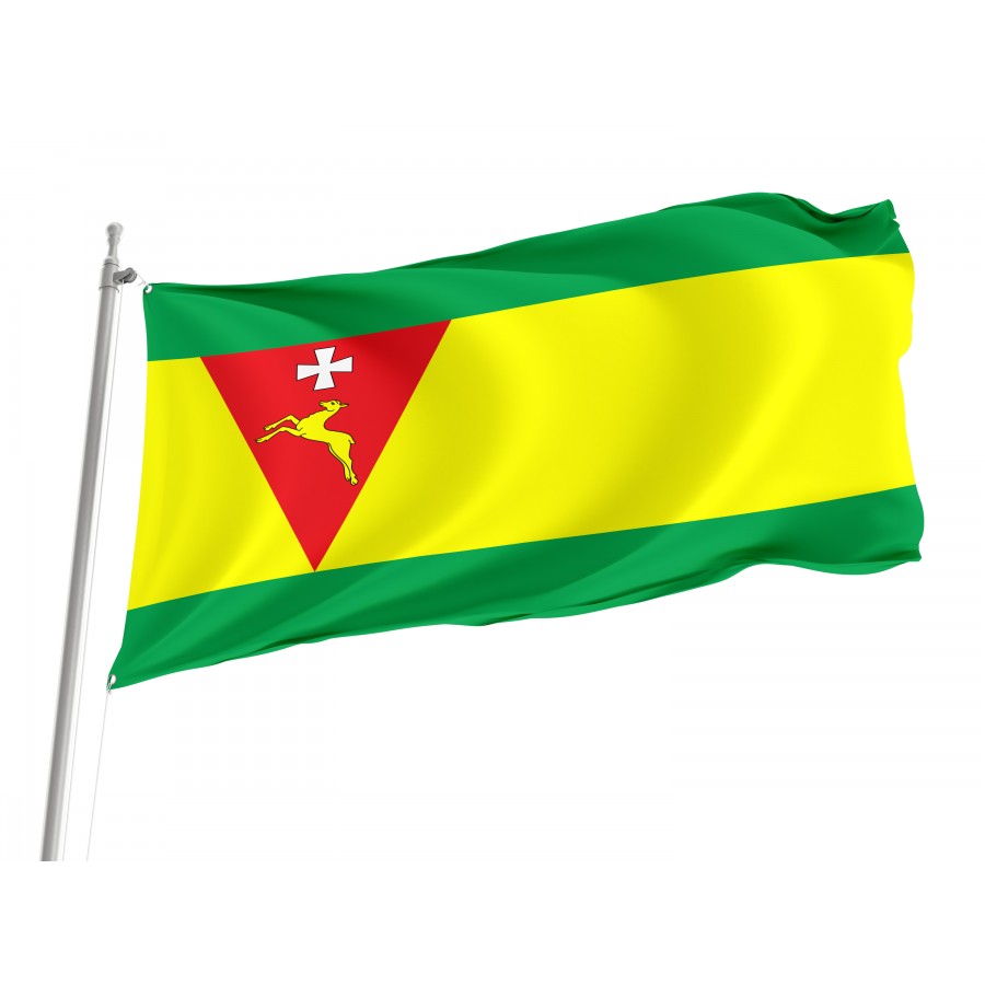 Flag of Sarny Region, Rivne District, Patriotic Flags, Unique Design Print, Flags for Indoor & Outdoor Use