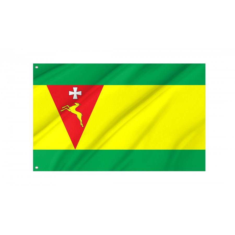 Flag of Sarny Region, Rivne District, Patriotic Flags, Unique Design Print, Flags for Indoor & Outdoor Use