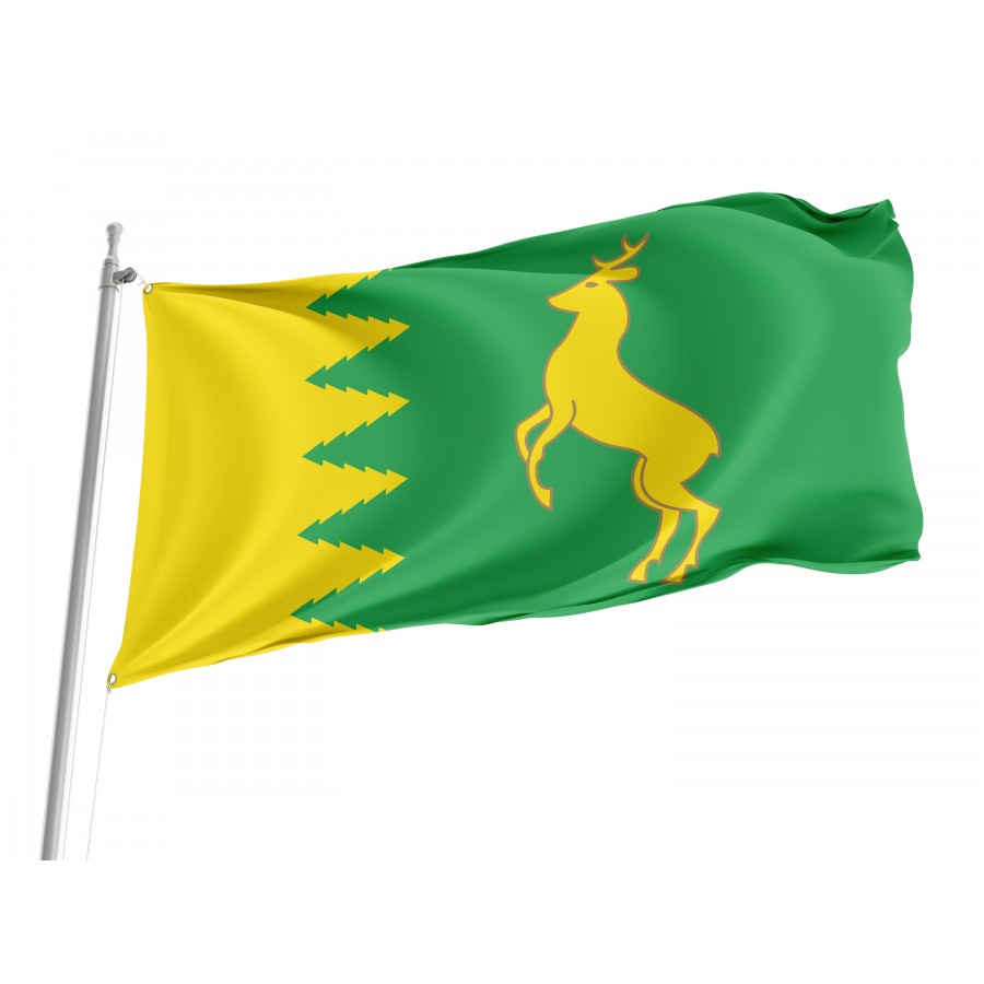 Flag of Staryi Sambir Region, Lviv District, Patriotic Flags, Unique Design Print, Flags for Indoor & Outdoor Use