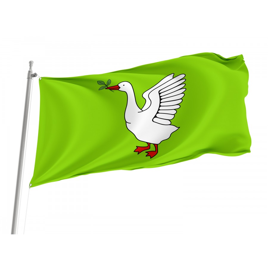 Flag of Truskavets, Lviv District, Patriotic Flags, Unique Design Print, Flags for Indoor & Outdoor Use