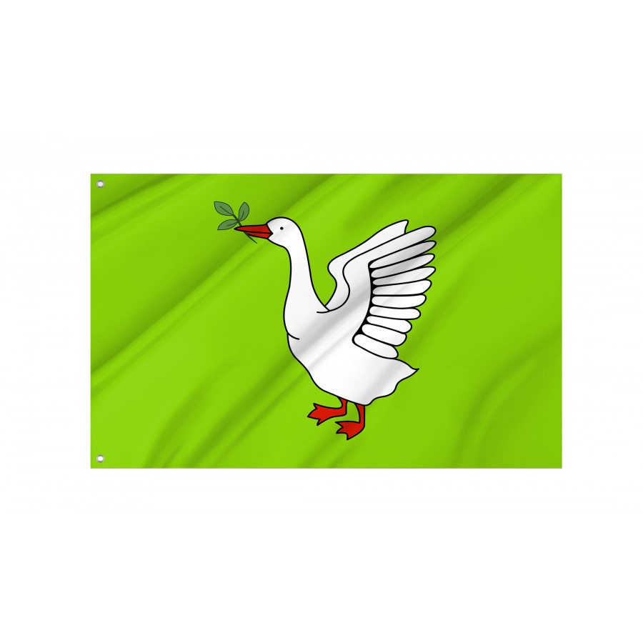 Flag of Truskavets, Lviv District, Patriotic Flags, Unique Design Print, Flags for Indoor & Outdoor Use