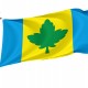 Flag of Yavoriv Region, Lviv District, Patriotic Flags, Unique Design Print, Flags for Indoor & Outdoor Use - Imagine 1