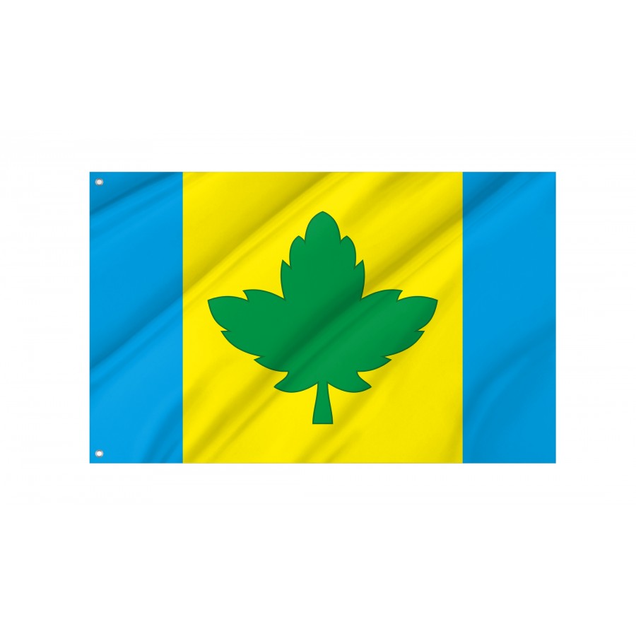 Flag of Yavoriv Region, Lviv District, Patriotic Flags, Unique Design Print, Flags for Indoor & Outdoor Use