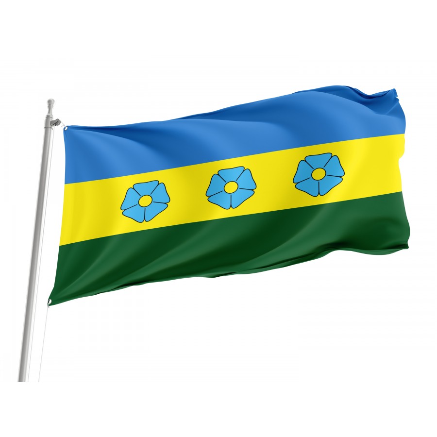 Flag of Yemilchyne Region, Zhytomyr District, Patriotic Flags, Unique Design Print, Flags for Indoor & Outdoor Use