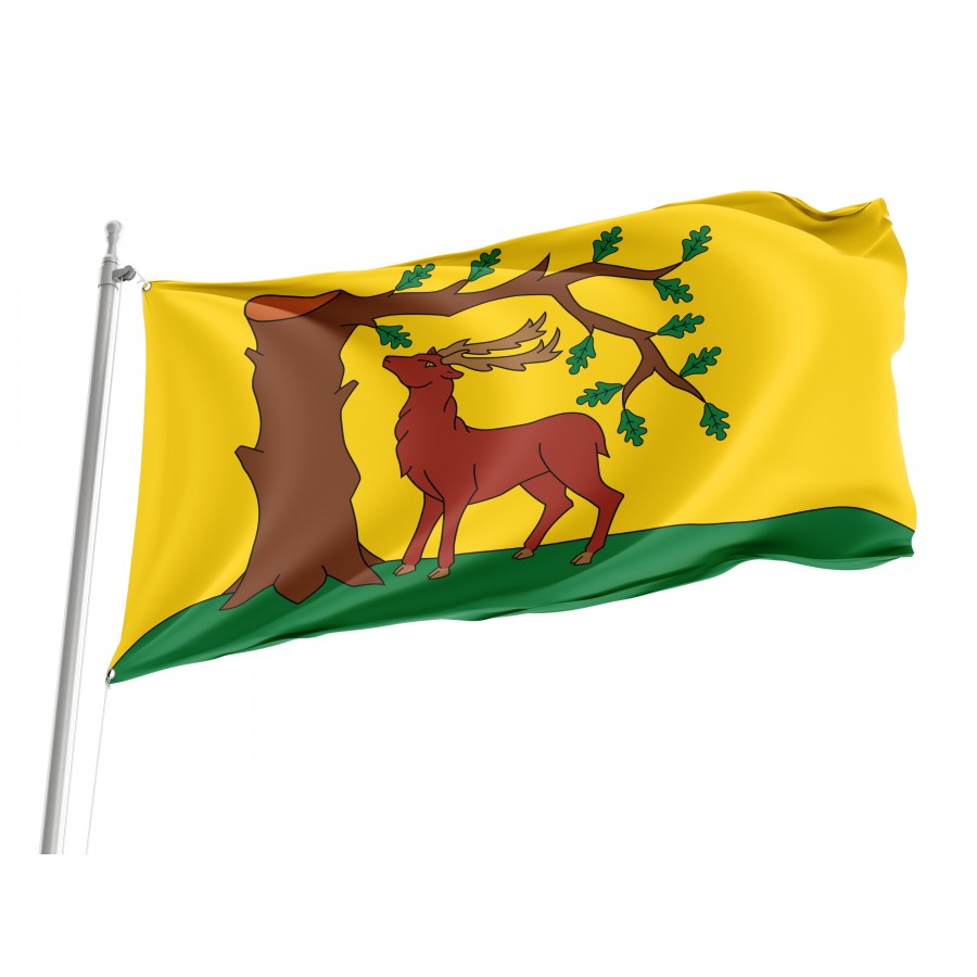 Flag of Berkshire New, Patriotic Flags, Unique Design Print, Flags for Indoor & Outdoor Use