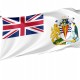 Flag of British Antarctic Territory, Patriotic Flags, Unique Design Print, Flags for Indoor & Outdoor Use - Imagine 1
