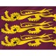 Flag of Old Historic England Richard Lionheart Flag, Patriotic Flags, Unique Design Print, Flags for Indoor & Outdoor Use - Imagine 2