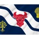 Flag of Oxfordshire, Patriotic Flags, Unique Design Print, Flags for Indoor & Outdoor Use - Imagine 2
