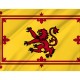 Flag of Royal Banner of The Royal Arms of Scotland, Patriotic Flags, Unique Design Print, Flags for Indoor & Outdoor Use - Imagine 2