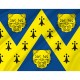 Flag of Shropshire, Patriotic Flags, Unique Design Print, Flags for Indoor & Outdoor Use - Imagine 2