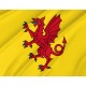 Flag of Somerset, Patriotic Flags, Unique Design Print, Flags for Indoor & Outdoor Use - Imagine 2