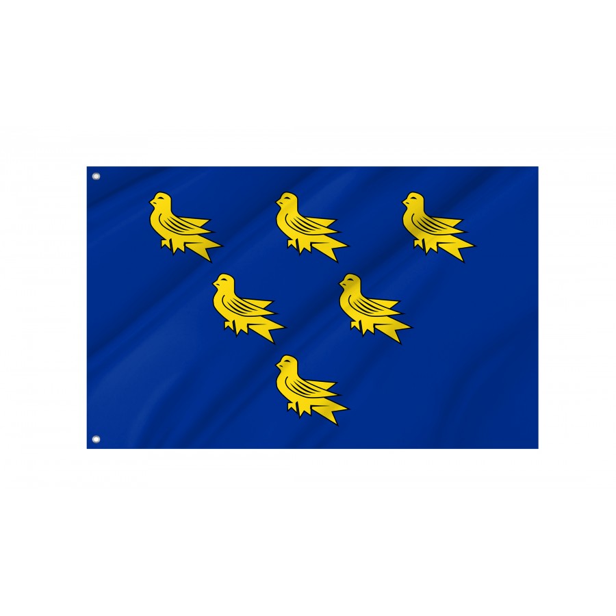 Flag of West Sussex, Patriotic Flags, Unique Design Print, Flags for Indoor & Outdoor Use