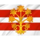 Flag of Westmorland, Patriotic Flags, Unique Design Print, Flags for Indoor & Outdoor Use - Imagine 2