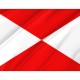 Paraná Province Flag for Indoor & Outdoor Use - Imagine 2