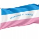 State of Espírito Santo Flag for Indoor & Outdoor Use - Imagine 1