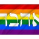 Ahava Gay Pride Flag for Indoor & Outdoor Use - Imagine 2