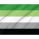 Aromantic Pride Flag for Indoor & Outdoor Use - Imagine 2