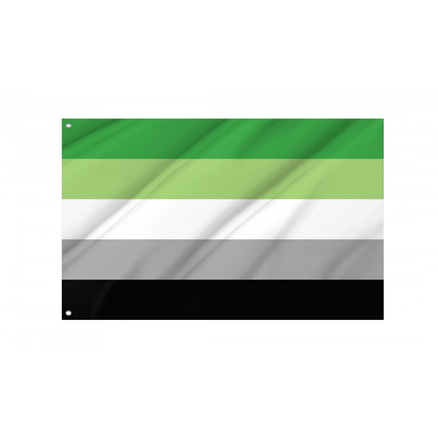 Flag of Aromantic Pride, Unique Design Print, Flags for Indoor & Outdoor Use