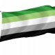 Aromantic Pride Flag for Indoor & Outdoor Use - Imagine 1