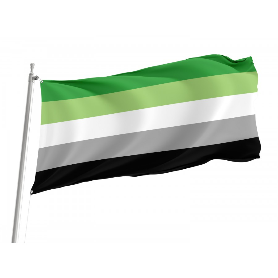 Flag of Aromantic Pride, Unique Design Print, Flags for Indoor & Outdoor Use