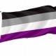 Asexuality Flag for Indoor & Outdoor Use - Imagine 1