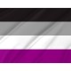 Asexuality Flag for Indoor & Outdoor Use - Imagine 2