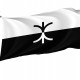 BPD Pride Flag, Unique Design Print, Flags for Indoor & Outdoor Use - Imagine 1