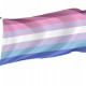 Bigender Flag for Indoor & Outdoor Use - Imagine 1
