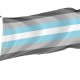 Demiboy Flag for Indoor & Outdoor Use - Imagine 1