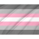 Demigirl Pride Flag for Indoor & Outdoor Use - Imagine 2