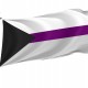 Demisexual Pride Flag for Indoor & Outdoor Use - Imagine 1