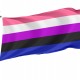 Genderfluid Flag for Indoor & Outdoor Use - Imagine 1